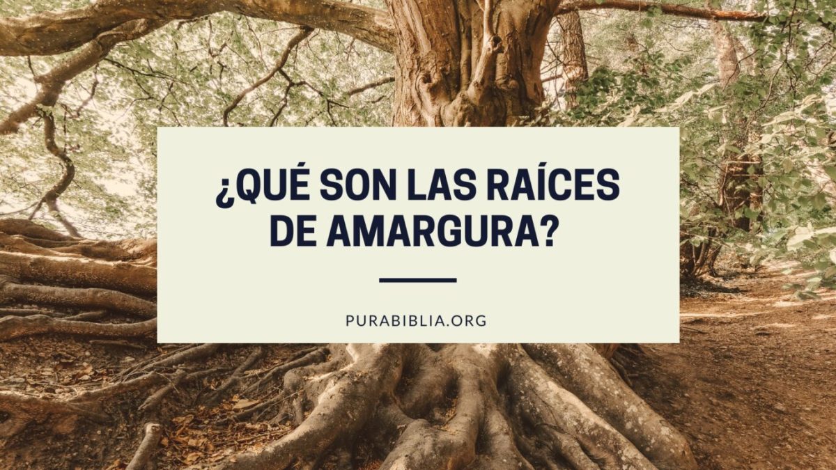 Que son las raíces de amargura