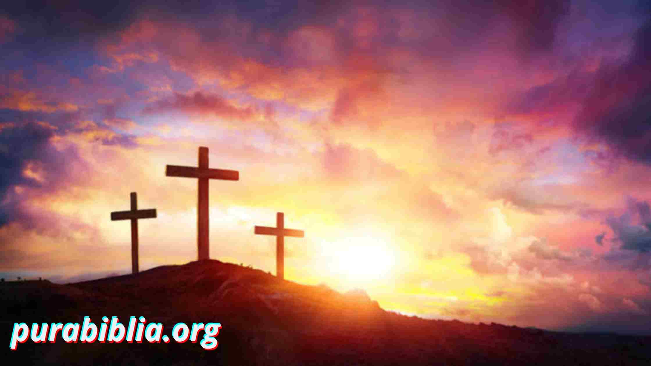 La misión de la Iglesia en la tierra